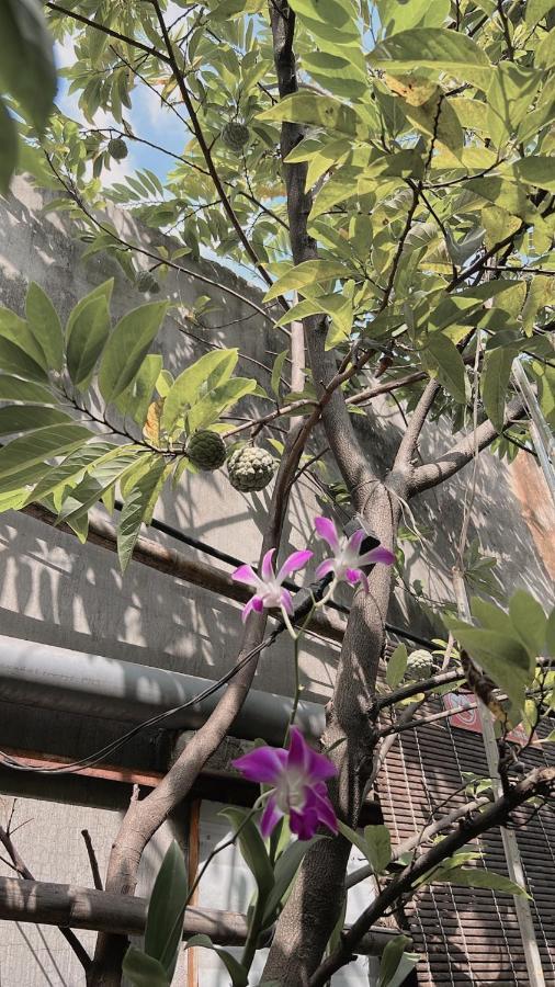 Homestay Da Nang Full House Εξωτερικό φωτογραφία
